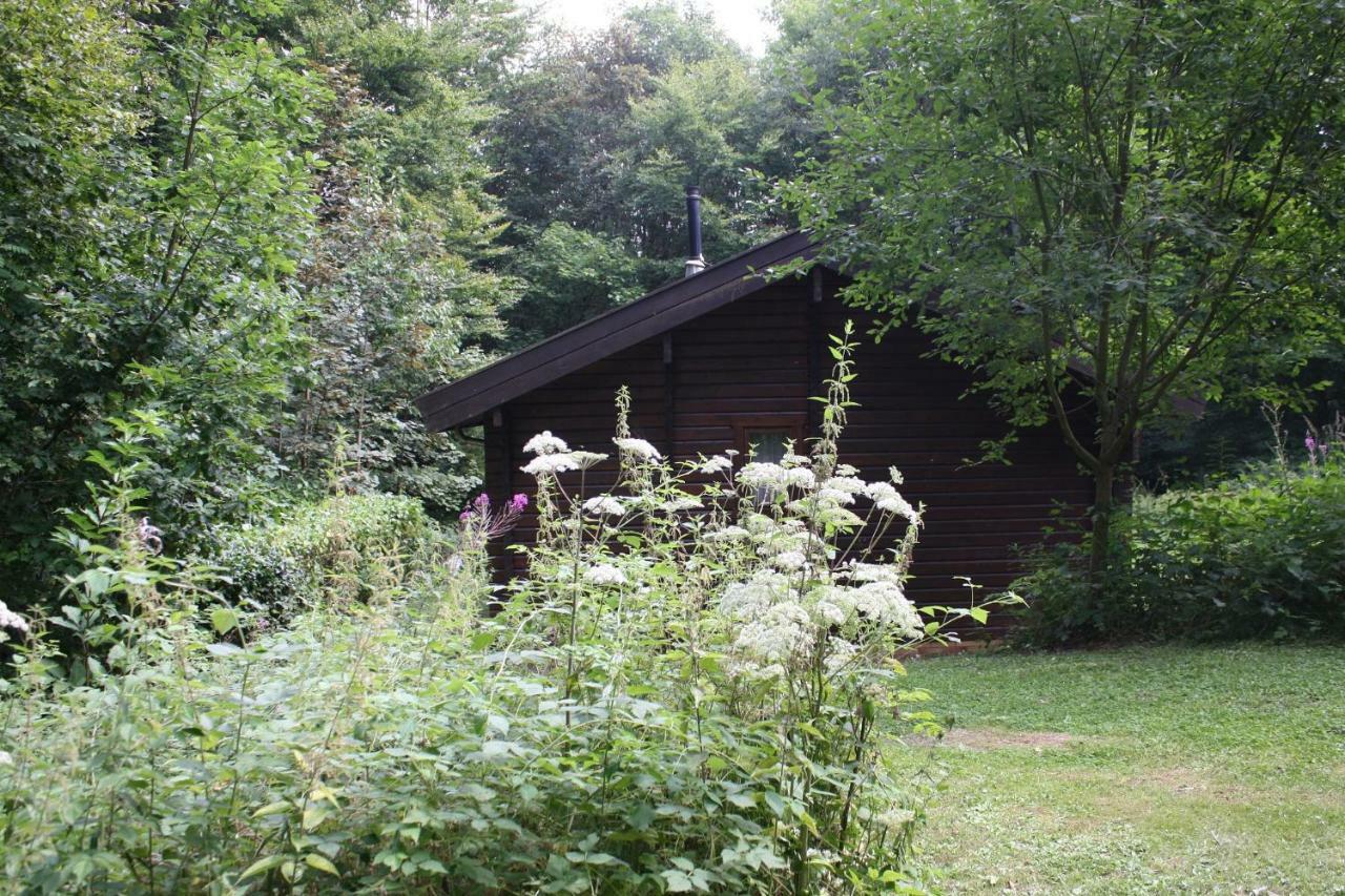 Bungalow; Haus 111 Ferienpark Twistesee, Bad Arolsen Exterior foto