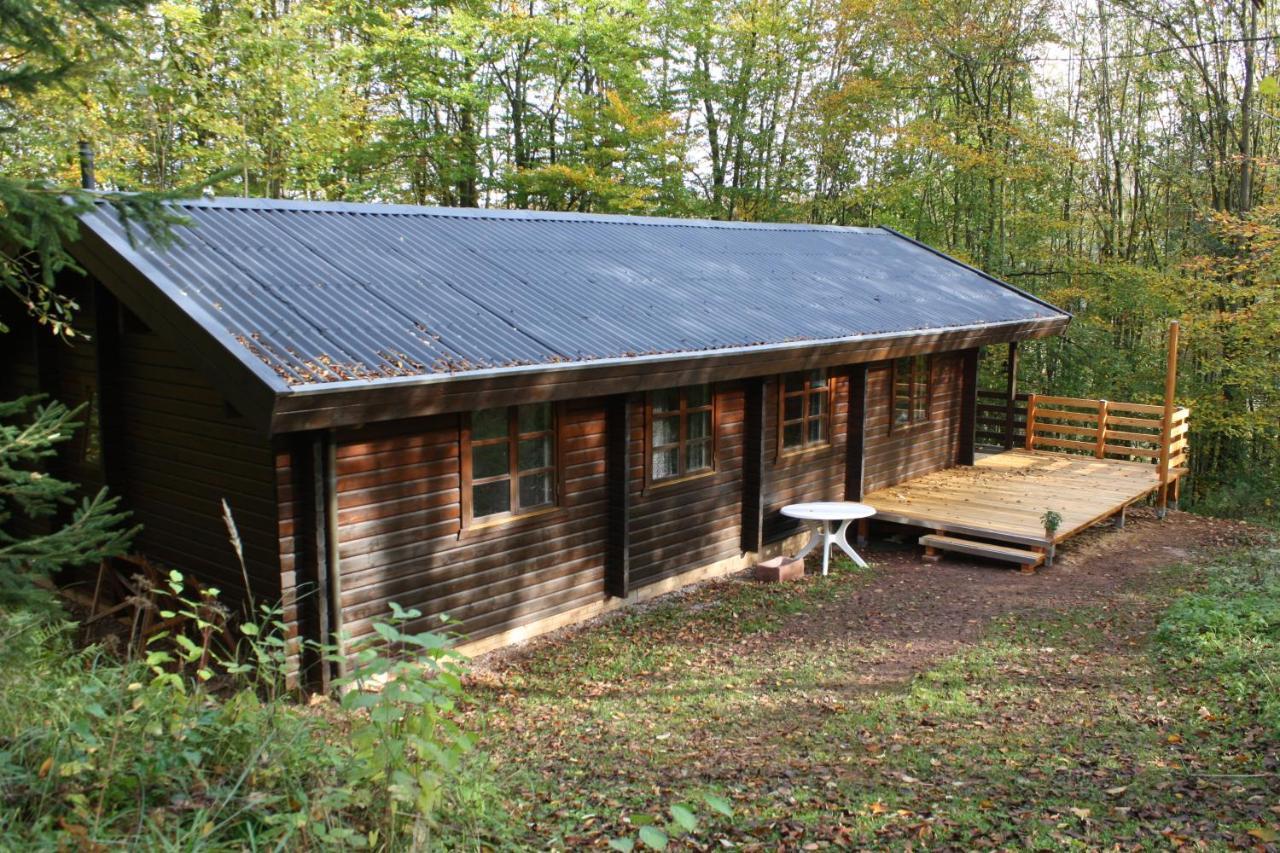 Bungalow; Haus 111 Ferienpark Twistesee, Bad Arolsen Exterior foto